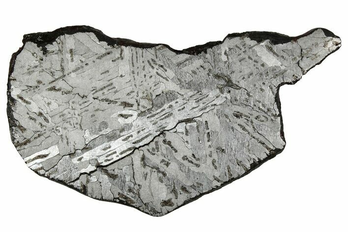 Etched Canyon Diablo Meteorite Slice ( g) - Arizona #356081